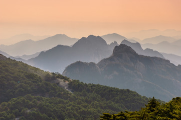 Huangshan Mountains And Trees