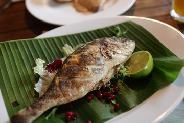 Prepared dorado fish