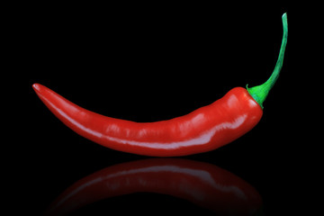 Red hot chili pepper on black background