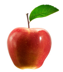 apple isolated