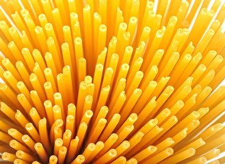 Spaghetti italian pasta