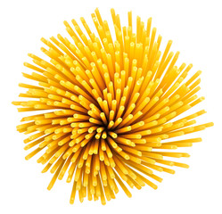 Bunch of spaghetti isolated on white. Top view.