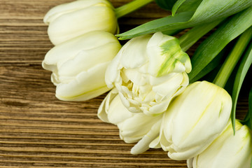 Bukiet białych tulipanów - obrazy, fototapety, plakaty