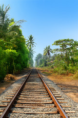 Fototapeta na wymiar Railway, asian landscape.