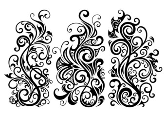 Set of three vector floral illustrations.
