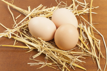 chicken egg