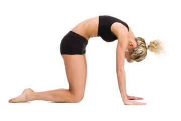 Fototapeta premium Young fitness woman doing exercise