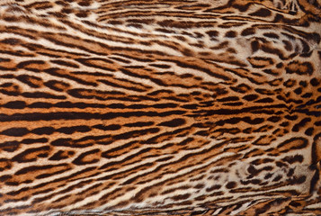 leopard texture background