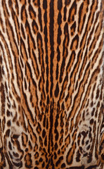 leopard texture background
