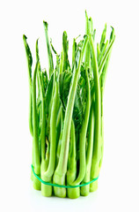 Kale close up on white background