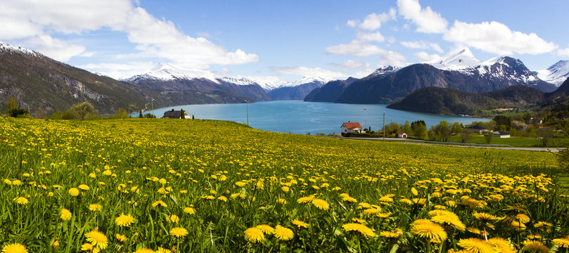 Norwegian Fjord in Sunnmore