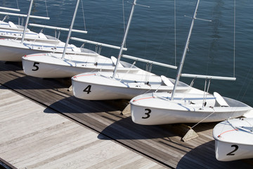 Fototapeta premium Rental Sailboats