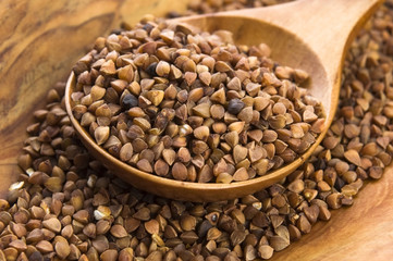 Buckwheat seeds on wooden spoon in closeup