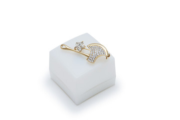 Beautiful brooch on a white background.