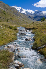 Mountain river in the swiss alps