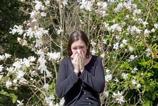 rhume des foins, rhinite allergique, d&eacute;but du printemps