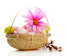 Beautiful easter eggs and apricot blossom in basket, isolated