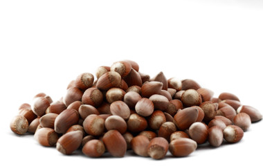 Hazelnut close up