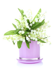 Beautiful lily of the valley in vase isolated on white