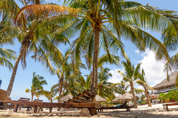 Unter Palmen in der Watamu Bay, Kenya - Africa