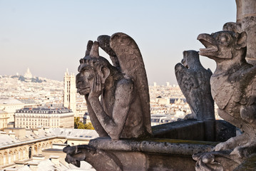 Chimäre vom Notre Dame © petra b.