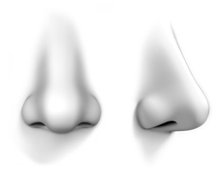 human nose isolates on white background