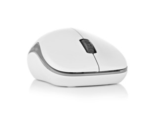 Computer mouse on a white background