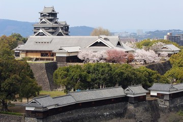 Fototapeta premium 桜咲く熊本城全景