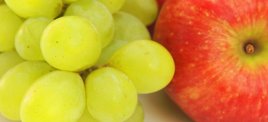 Fruit on a white background