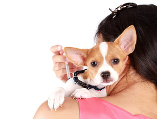 injects an immunisation or painkiller into the dorsal lumbarmus