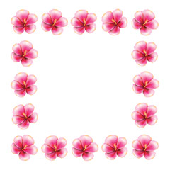 Fototapeta na wymiar Pink hibiscus frame