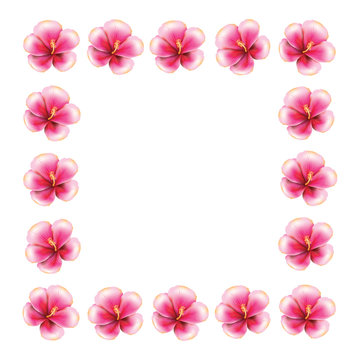 Pink hibiscus frame