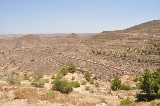 Around Matmata, desert hills Pebble desert with poor vegetation