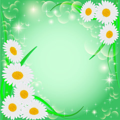of a green background with daisies and stars
