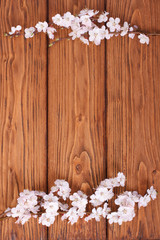 Frame from flowers of apricot on a wooden surface