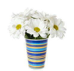 White flowers in a vase on a white background