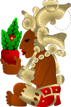 maya - yum kaax - color