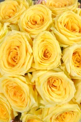 Gordijnen gele roos close-up © sutsaiy