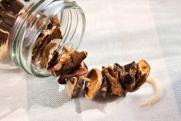 Dried Mushrooms