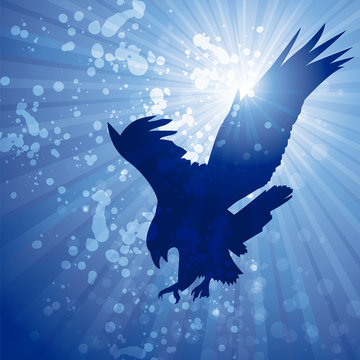 sunflare eagle