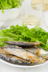 fried fish with salad and glass of wine