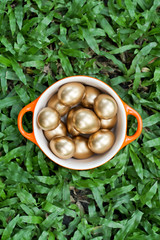 Golden easter eggs.