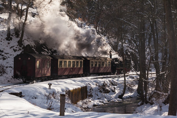 Harzer Schmalspurbahnen Selketalbahn im Winter