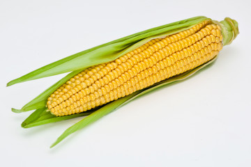 corn on the cob