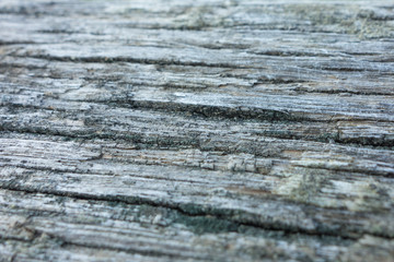 Obraz premium Drewno zwietrzałe - struktura