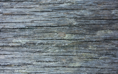 Fototapeta premium Verwittertes Holz - Struktur