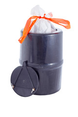 Bear resistant canister.