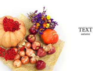 Harvested pumpkins with fall leaves