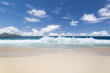 Fototapeta na wymiar Koral biały piasek na plaży i lazur oceanu indyjskiego.