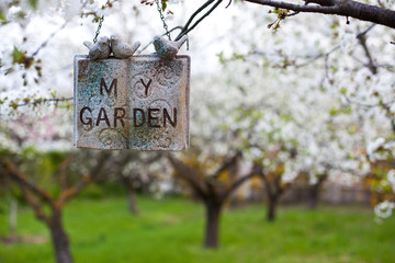 blooming garden concept